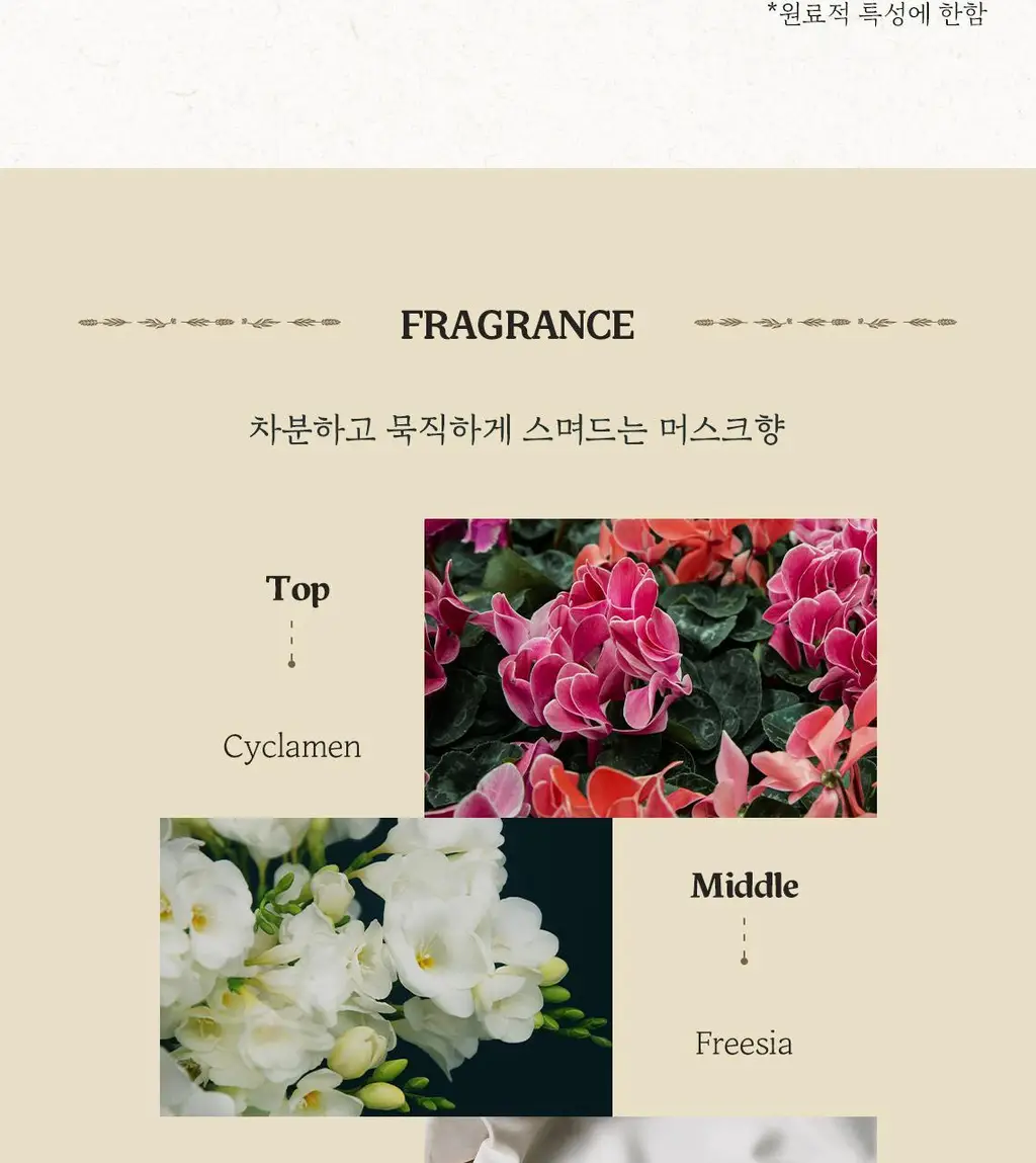 [순둥보습] 스킨푸드 인텐시브 시어버터 크림 워시 450ml 상세페이지 6